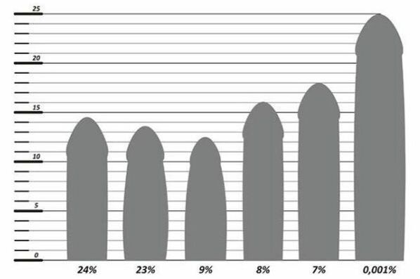 Статистика розмірів статевого члена